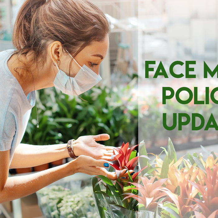 COVID-19 Policy: Masks Strongly Suggested in STL Branch
