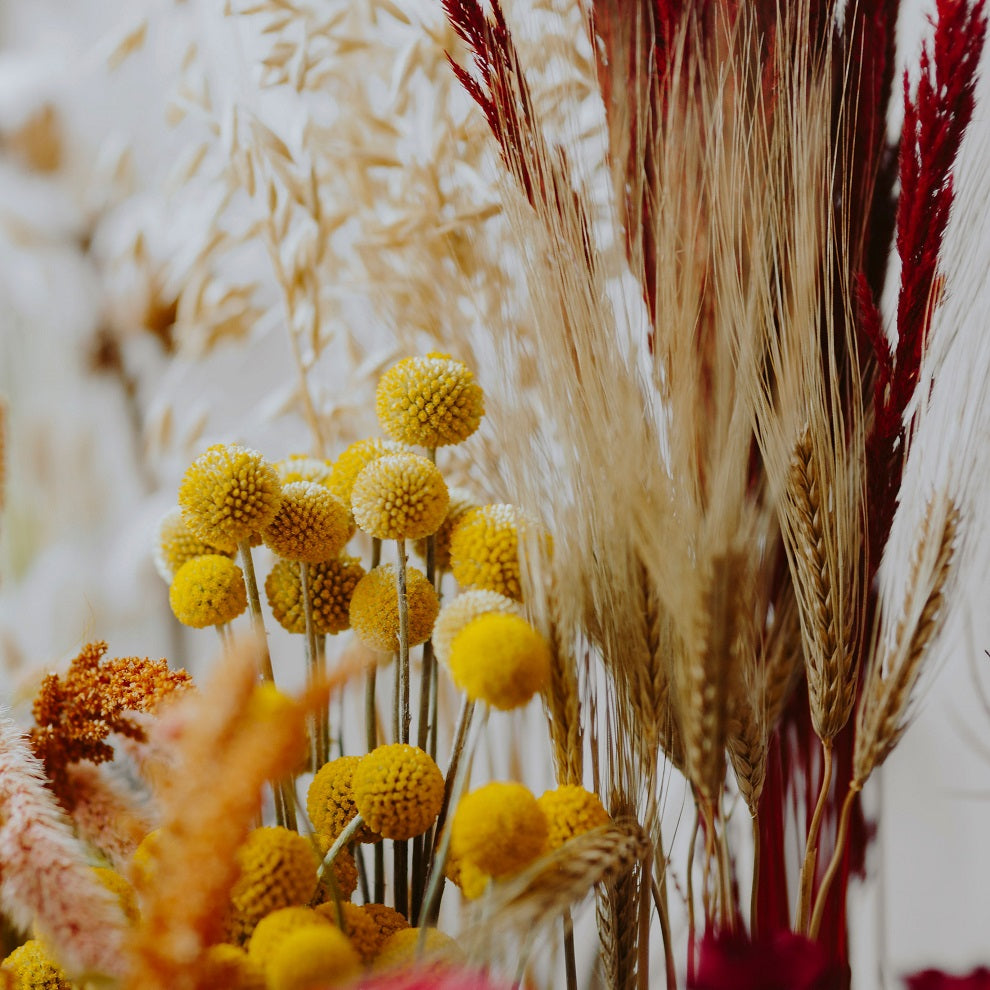 Natural Botanicals
