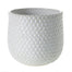 Ginny Pot 4.75"x 4.5"