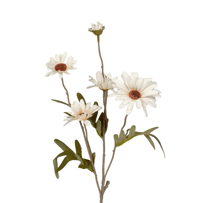 Fall Daisy - Bisque
