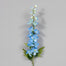 37 in French Larkspur