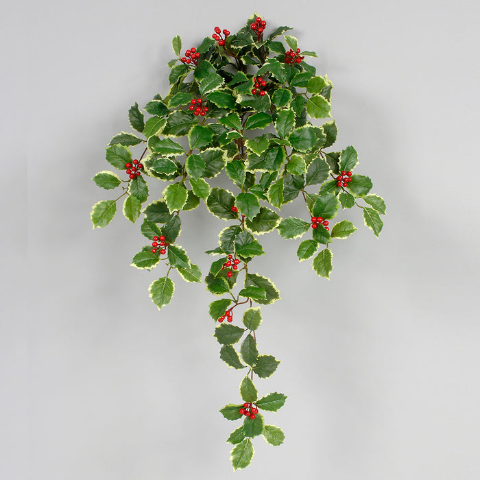 Holly Berry Hanging Bush