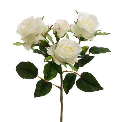Spray Rose White Floreana