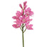 22 in Open Orchid Cymbidium - Burgundy
