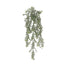 29 in Powdered Dusty Miller Hanging Bush - Green