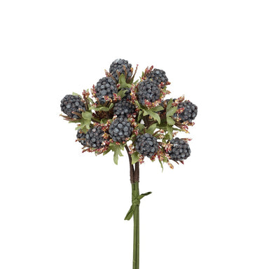 Mulberry Bundle - Blue