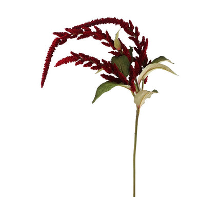 45 in Hanging Amaranthus