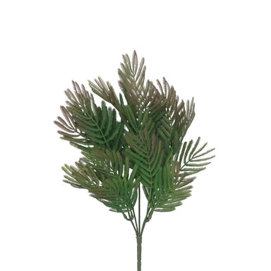 15 in Fern Bush