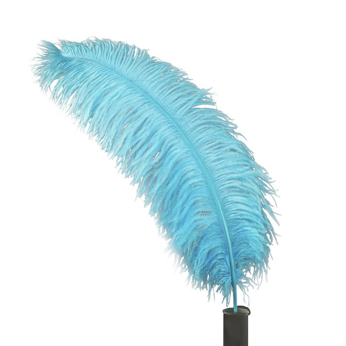Ostrich Feathers