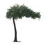 10' Banyan Welcome Tree - Green