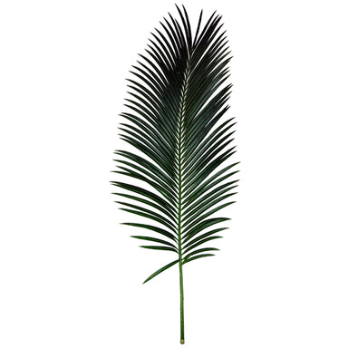 Sago Palm