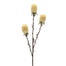 29 in Artificial Banksia Stem