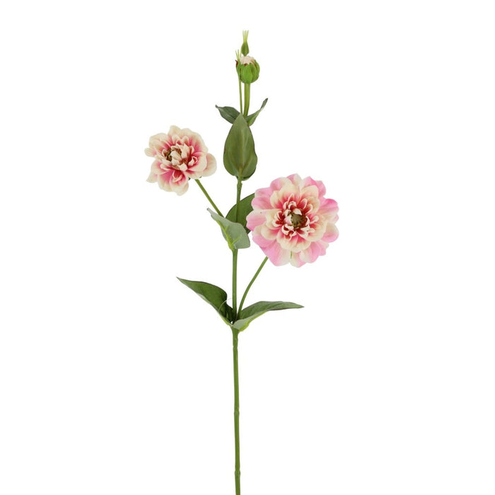 24 in Zinnia Spray