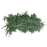 Spruce Bale