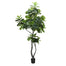 9' Fiddle Leaf Fig Tree - Green