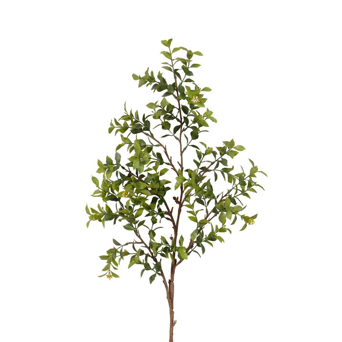 41" Myrtle Spray w/Berries - Green