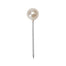 3/4" Atlantic Pixie Pin Pearl - Champagne