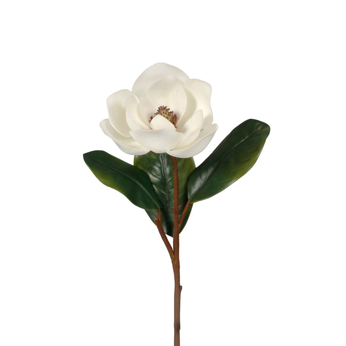 Magnolia w/Leaves - Cream