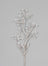 Metallic Branch w/Pearls Spray - Silver/White
