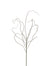46" Curly Willow Twig - Green/Brown