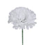Single Carnation Head Pick- 100pcs/box