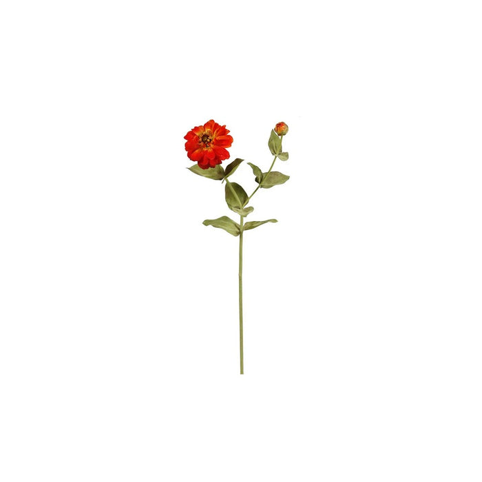 23.5 in Zinnia