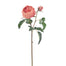 English Rose Short Stem - Pink