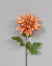 Dahlia w/Leaves - Tobacco