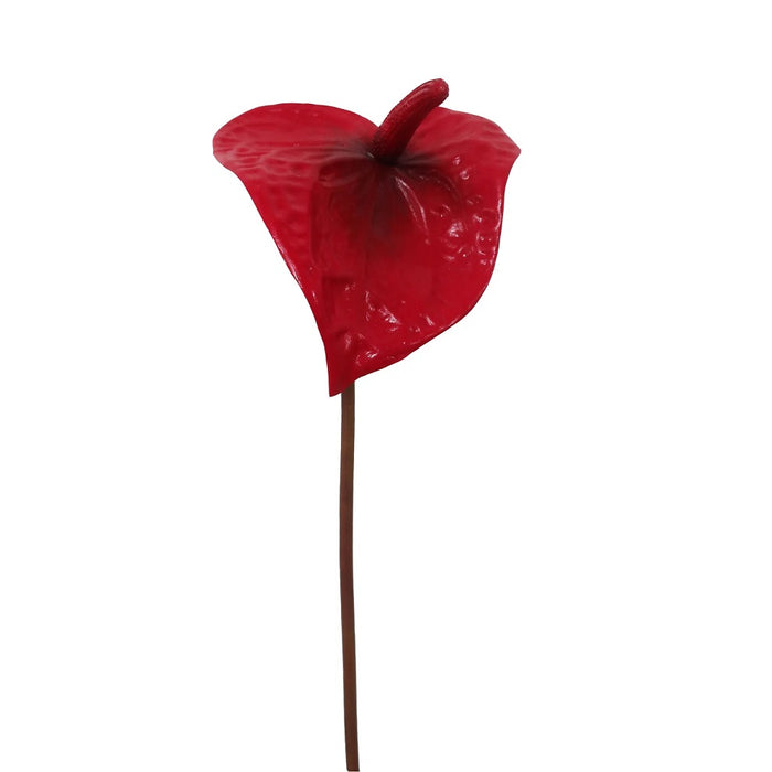 22 in Painter's Palette Anthurium