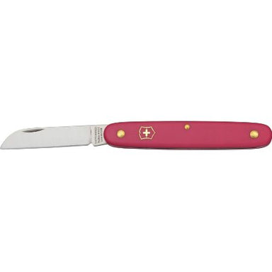 Straight 4" Blade, Pink Handle