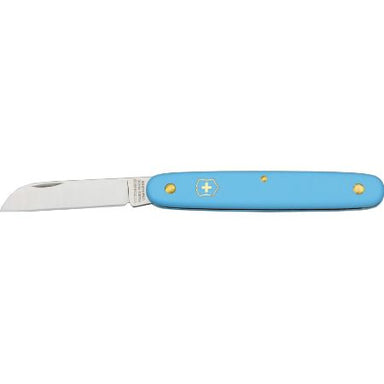 Straight 4" Blade, Blue Handle