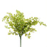 17" Maidenhair Bush - Green