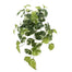 20 in UV Marble Pothos Hanging Bush - Variegated