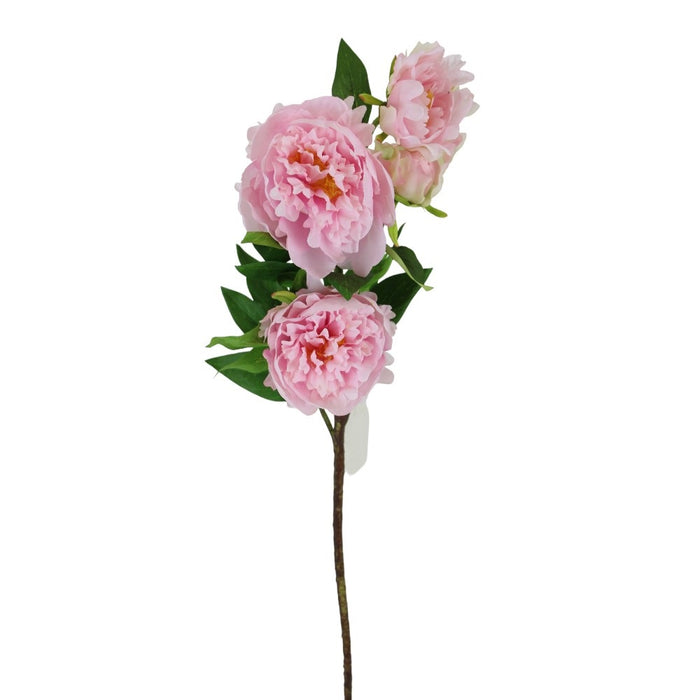 28 in Peony Spray - Pink