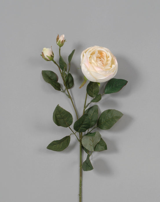 27" Polyester Cabbage Rose - Cream