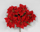 Velvet Poinsettia Bush - Red