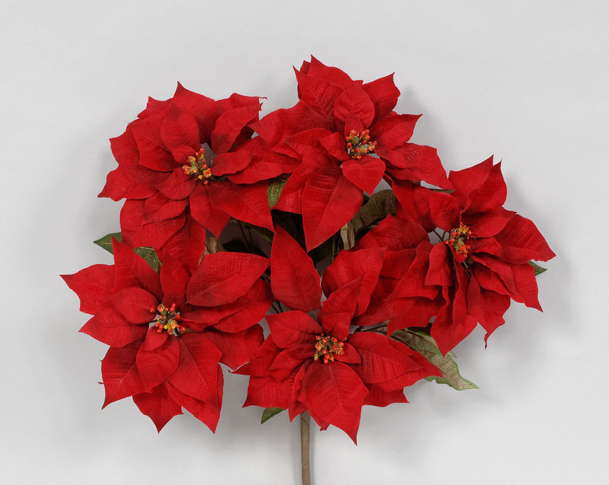 Velvet Poinsettia Bush - Red