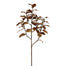 44 in Gold Holly Branch