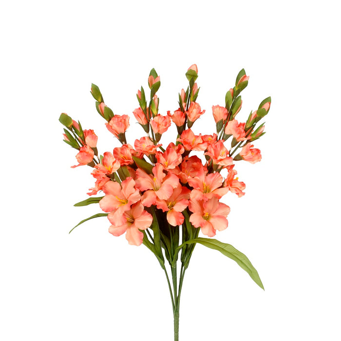 27 in Gladiolus Bush