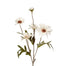 Fall Daisy - Bisque