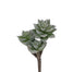 8 in Flocked Moonglow Crassula Pick - Dusty Green