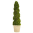 51" Boxwood Spiral Topiary - Green