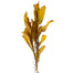 43" Magnolia Leaves Spray - Gold/Orange