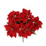 Velvet Poinsettia Bush - Red