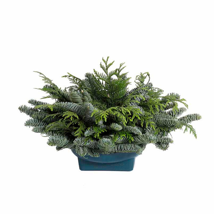 Pregreened Centerpiece with 1 Candleholder