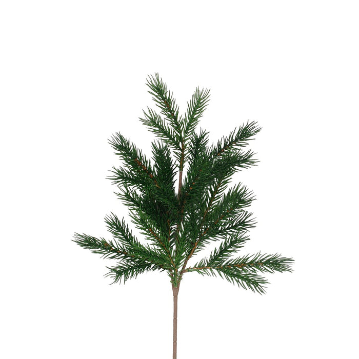 Spruce Pine Spray
