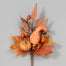 Fall Gourd/Berry Pick