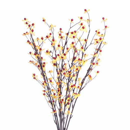 Bittersweet Branch