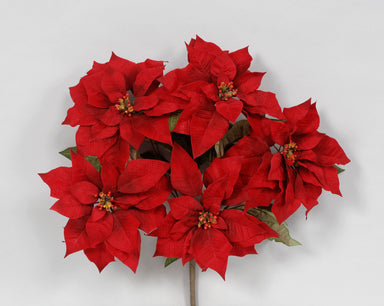 Velvet Poinsettia Bush - Red