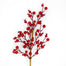 Rosehip Berry Spray